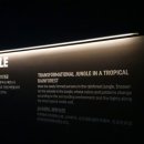 아르떼아트
