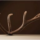 고침한의원 이미지