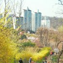 동작충효길 7코스 까치산길 이미지