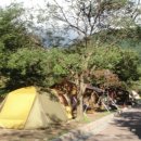 벽계야영장 이미지