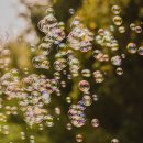 부산과학관 공원 이미지