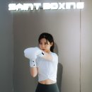 세인트복싱 이미지