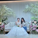 라온제나 이미지