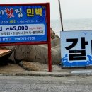갈매기민박