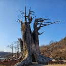 삼국유사테마파크화장실 이미지