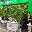 강원랜드 이미지