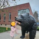 애커먼 | 미국 서부 여행] 명문대 UCLA 캠퍼스 가족 방문기! 주차 꿀팁과 주요 방문지 소개! (feat. 브루인 동상...