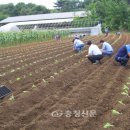 목면사무소 이미지