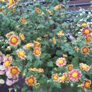 옥수동성당 이미지