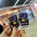 주율 | 일본 오사카 주유패스 정리 2일권 사용법 이용 후기