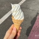 연골 | [충남 당진] 길몽가 - 닭과 국수의 매력적인 만남(메뉴, 후기, 소감)