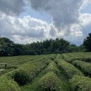 악양농협주유소 이미지