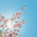 광교미소모아내과의원 이미지