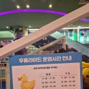 파크베어 | 17개월 쌍둥이랑 대형 키즈카페 '볼베어파크 은평' 다녀온 솔직후기