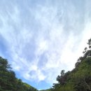 석정중화요리 | [안양] 병목안 계곡 / 석정중화요리 후기