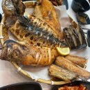 흰수정 놀이터2 이미지