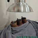 대은한의원 | 항암치료 지치지 않도록! 대장암 한의원 왕뜸요법 병행 효과