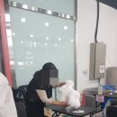 보람애견미용 이미지