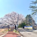탄동천-1 이미지