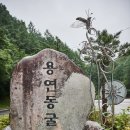 산호노인회관 네이버블로그