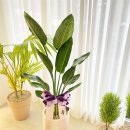 동성카인테리어 이미지