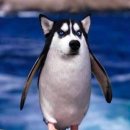 이베