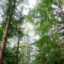 이재옥농장 이미지