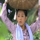 고향풍년 이미지