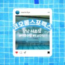 [강남 원정수영] 코오롱스포렉스 서초 자유수영 + 입장료, 운영 시간, 수질, 일요일 영업
