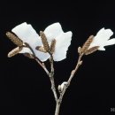 예감당한의원 이미지