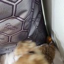 수포대 화장실 | 2025.07.28~