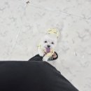 개스트룸 이미지