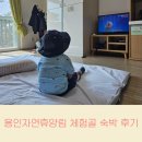 초부매점
