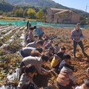 신북어린이집 이미지