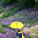 사곡농장 이미지