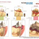 정겨운동물병원 이미지