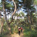 마곡사경내 | [2010년] 가을 길목에 다시 찾은 마곡사 솔바람길