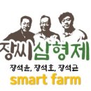 장씨삼형제하수오삼계탕 네이버블로그