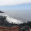 순천-34호 이미지