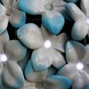 롯데백화점 앞 이미지