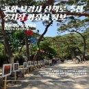 오리&식당 | 포항 보경사 산책로 추천 주차장 화장실 정보 춘원식당 오리백숙 후기