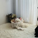 (주)너와나네이쳐 | 대전 50일 촬영 어떤날 스튜디오 후기 &amp; 본격 육아 시작한 밍쯔