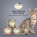 펫허그 네이버블로그