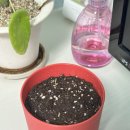 여우야문구 이미지