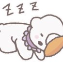 고든펫 이미지