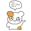 [로컬회계법인] 내돈내면 면접 후기 모음.zip