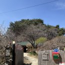 이야기있는정원 | 들꽃이야기 :: 자연의 평안함을 느낄 수 있는 정원 한옥 카페 메뉴 주차 내돈내산 후기