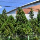 문산체육공원 축구장 이미지