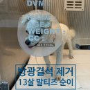 리더스병원 화장실 이미지