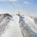 휘닉스 스노우파크 이미지